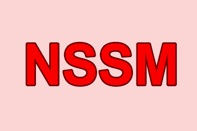 nssm
