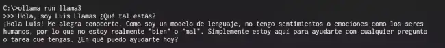 ollama-llama3-console