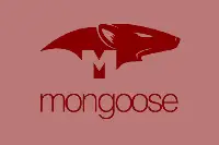 javascript-mongoose