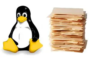 organizacion-sistema-de-archivos-en-linux