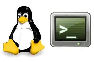 comandos-linux-busqueda