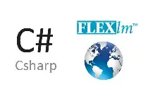 querying-flexlm-license-server-from-c