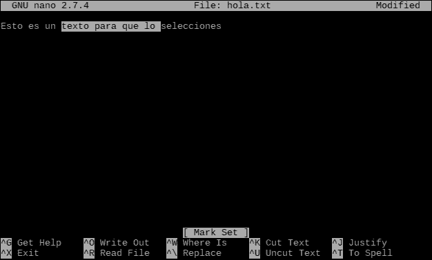 Seleccionar, copiar y pegar texto en nano, editor de texto en terminal