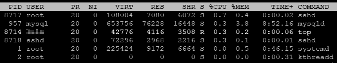 raspberry-pi-procesos-top